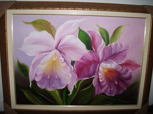 orquideas